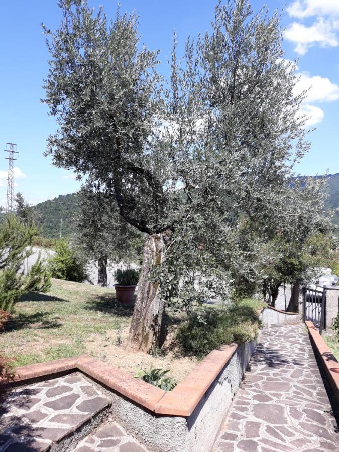 Gli Oleandri B&B Vaiano  Exterior foto