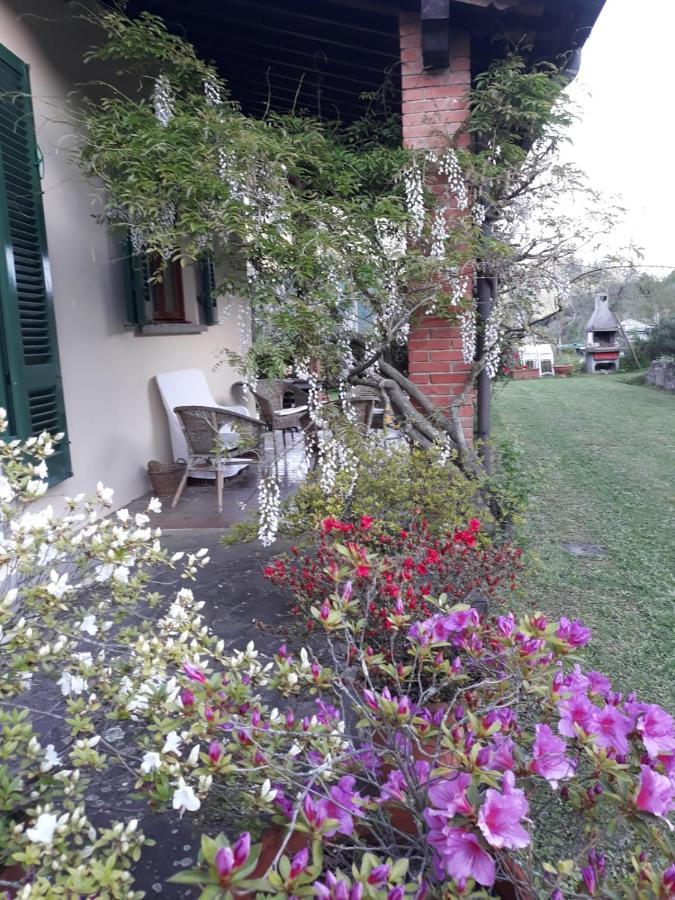 Gli Oleandri B&B Vaiano  Exterior foto